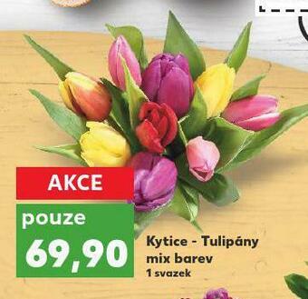 Kaufland Kytice - tulipány nabídka