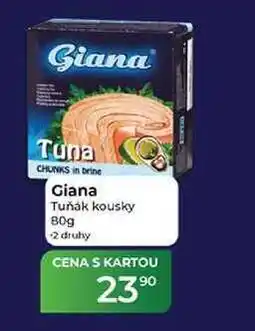 Tamda Foods Giana Tuňák kousky nabídka