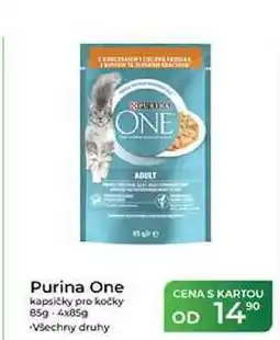 Tamda Foods Purina One kapsičky pro kočky nabídka