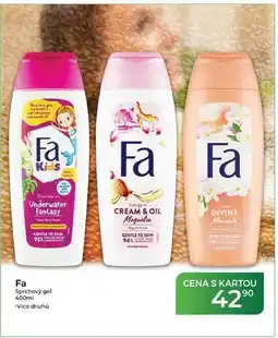 Tamda Foods Fa Sprchový gel nabídka