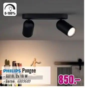 Philips Pongee