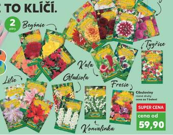 Kaufland Cibuloviny nabídka