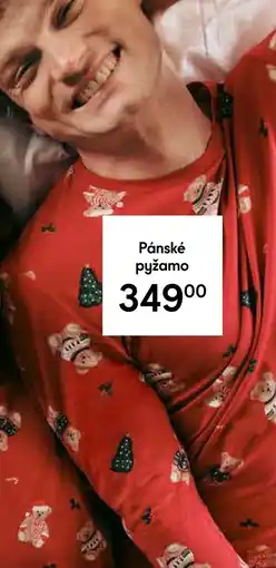 Tesco Pánské pyžamo nabídka