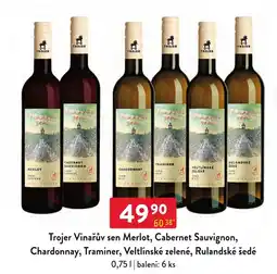 Qanto Trojer Vinařův sen Merlot, Cabernet Sauvignon, Chardonnay, Traminer nabídka