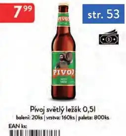 Qanto Pivoj světlý ležák nabídka