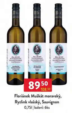 Qanto Floriánek Muškát moravský, Ryzlink vlašský, Sauvignon nabídka