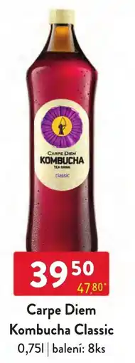 Qanto Carpe Diem Kombucha Classic nabídka