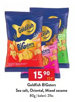 Qanto Goldfish BIGsters nabídka