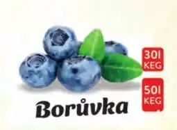 Qanto Borůvka nabídka