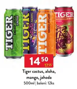 Qanto Tiger cactus, aloha, mango, jahoda nabídka
