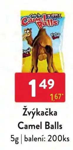 Qanto Camel Balls nabídka