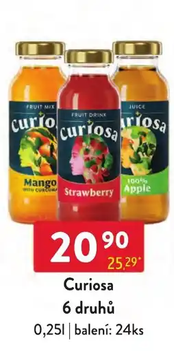 Qanto Curiosa 6 druhů nabídka