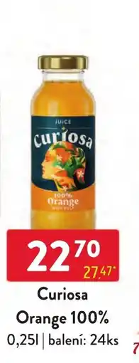 Qanto Curiosa Orange 100% nabídka