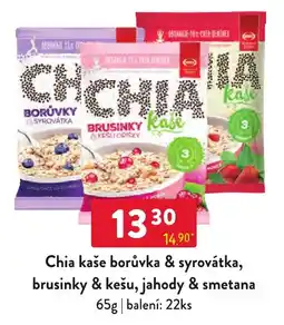 Qanto Chia kaše borůvka & syrovátka, brusinky & kešu, jahody & smetana nabídka
