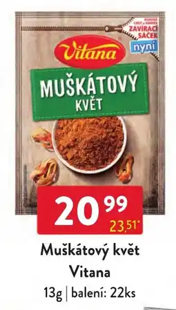 Qanto Vitana muškátový květ nabídka