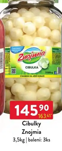 Qanto Znojmia cibulky nabídka