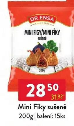 Qanto Dr. Ensa mini figy/minifíky sušené nabídka