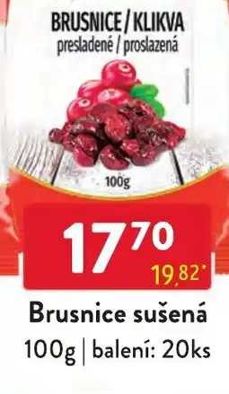 Qanto Brusnice sušená nabídka