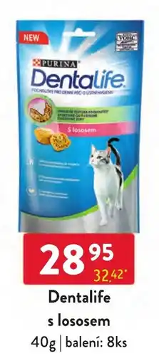 Qanto Dentalife s lososem nabídka