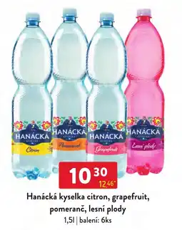 Qanto Hanácká kyselka citron, grapefruit, pomeranč, lesní plody nabídka