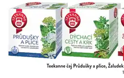Qanto Teekanne čaj Průdušky a plíce nabídka