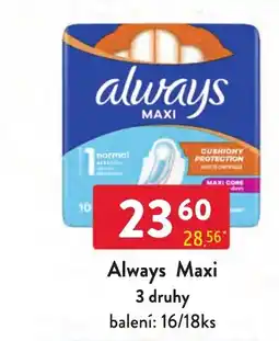 Qanto Always Maxi nabídka