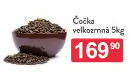 Qanto Čočka velkozrnná nabídka