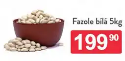Qanto Fazole bílá nabídka