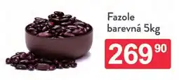 Qanto Fazole barevná nabídka