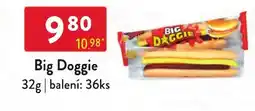 Qanto Big Doggie nabídka