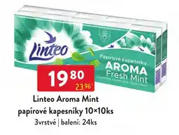 Qanto Linteo Aroma Mint nabídka