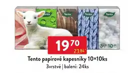 Qanto Tento papírové kapesníky nabídka