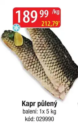 Qanto Kapr půlený nabídka