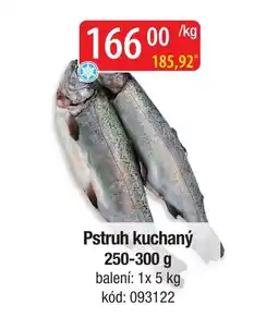 Qanto Pstruh kuchaný nabídka