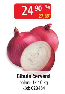 Qanto Cibule červená nabídka