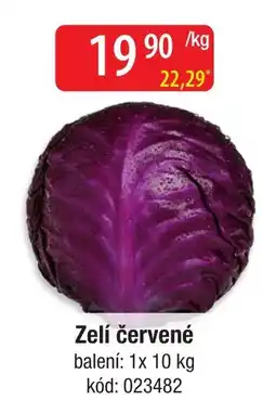 Qanto Zelí červené nabídka