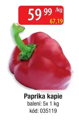 Qanto Paprika kapie nabídka