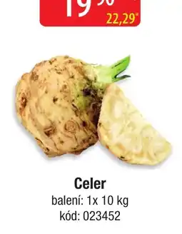 Qanto Celer nabídka