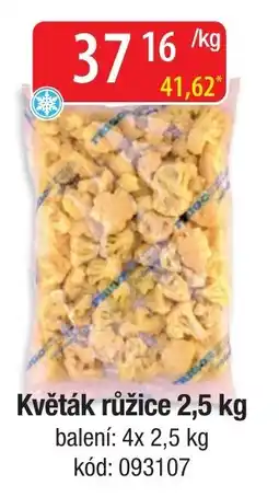 Qanto Květák růžice nabídka