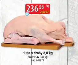 Qanto Husa s droby nabídka