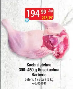 Qanto Husokachna Kachní stehna nabídka