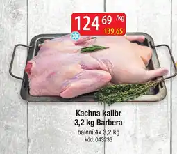 Qanto Barbera kachna kalibr nabídka