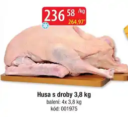 Qanto Husa s droby nabídka