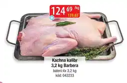 Qanto Kachna kalibr nabídka