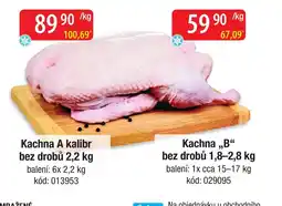 Qanto Kachna A kalibr nabídka
