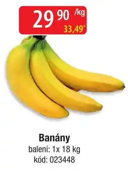 Qanto Banány nabídka