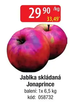 Qanto Jonaprinse nabídka