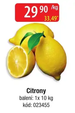 Qanto Citrony nabídka