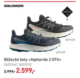 Intersport Salomon Běžecké boty »Alpharide 2 GTX« nabídka