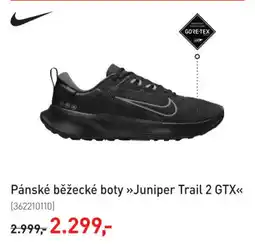 Intersport Nike Pánské běžecké boty Juniper Trail 2 GTX nabídka